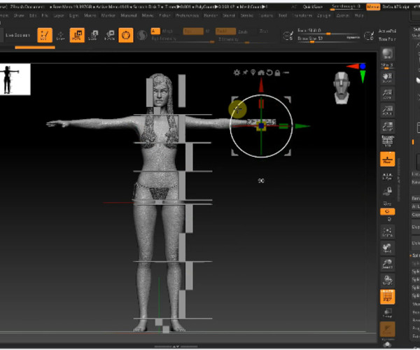 quickly changing proportions in zbrush