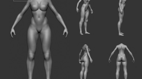 Basemesh Girl Highpoly