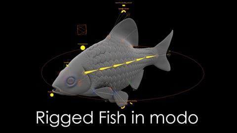 Fish rigged in modo