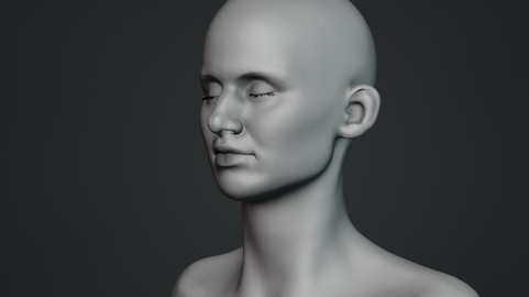 Female Bust Sculpt