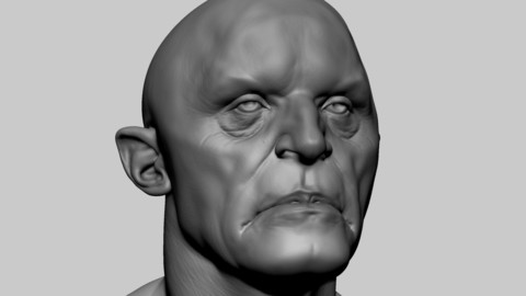 Fantasy Creature Head v5