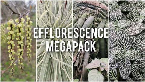 Efflorescence references MEGAPACK