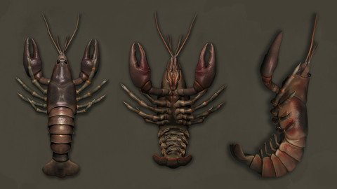 Crayfish