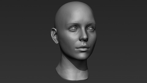 3d Printable Female Head 3