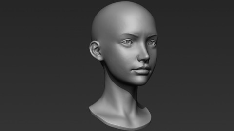 3d Printable Female Head 5