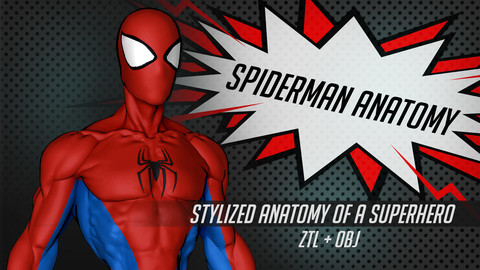 SPIDERMAN ANATOMY