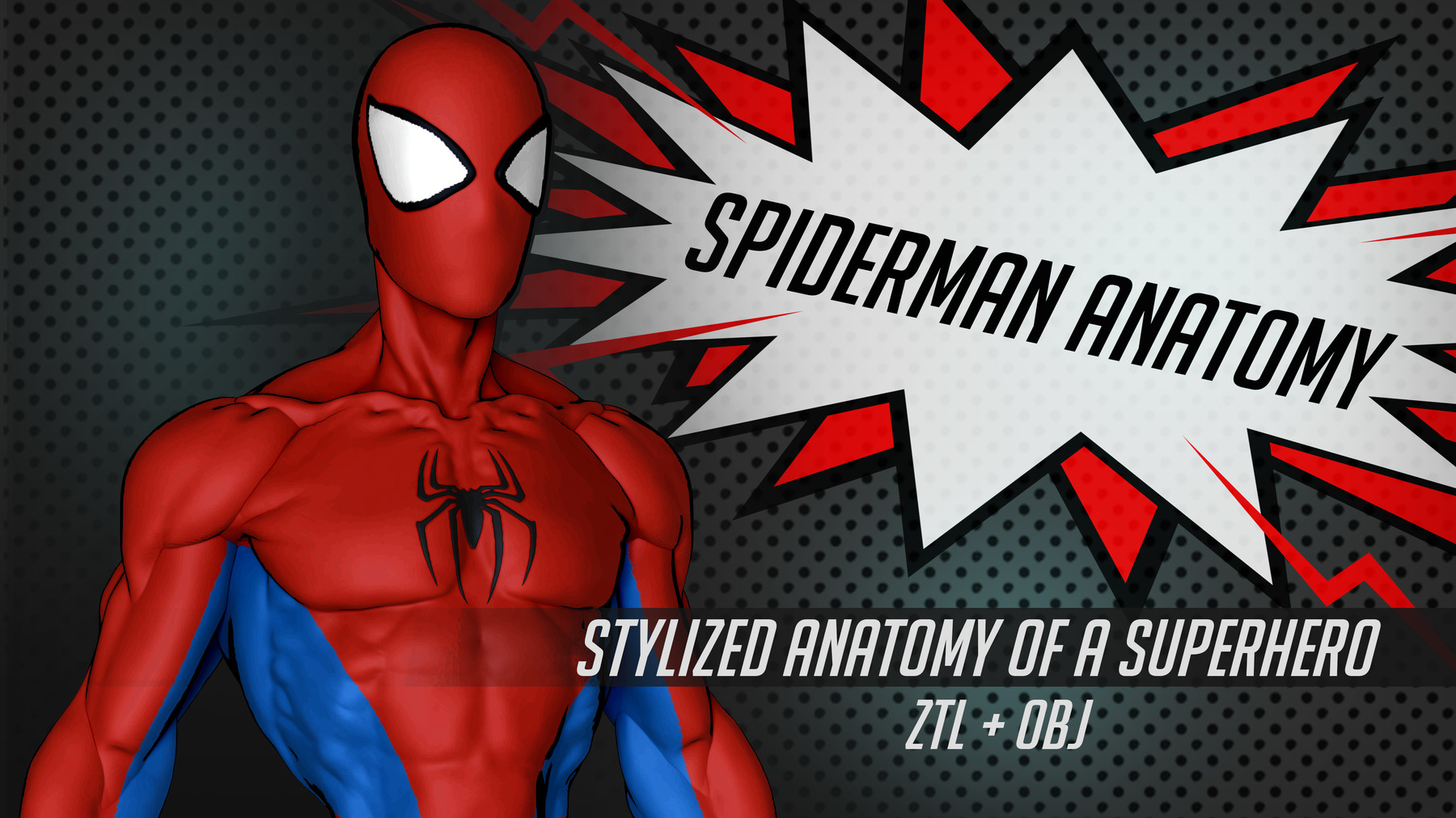 Seba Dom - SPIDERMAN ANATOMY