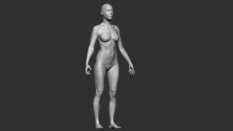 Female Body Base Mesh
