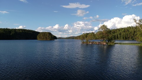 Photo References: Swedish Lake & Forest