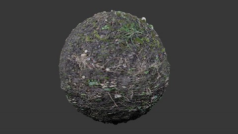 SEAMLESS GROUND DIRT TEXTURE 2