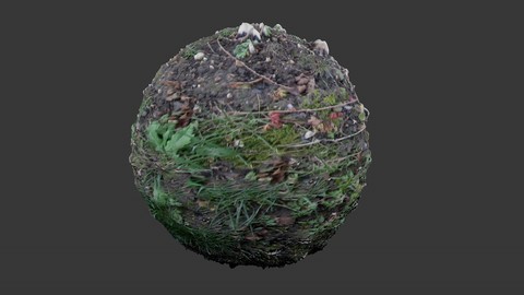 SEAMLESS GROUND DIRT TEXTURE 3