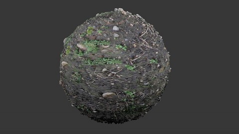 SEAMLESS GROUND DIRT TEXTURE 5