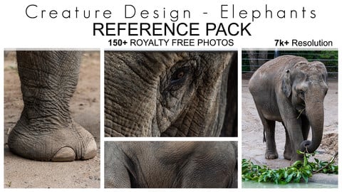 Creature Design Reference Pack - Elephant Textures - 150+ Royalty Free Photos