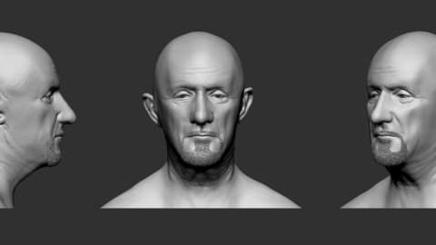 Mike Ehrmantraut's face