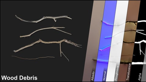 Photometric Scan Vegetation - Beach Debris - Wood Beach 1