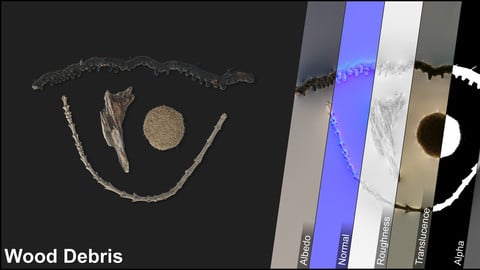 Photometric Scan Vegetation - Beach Debris - Wood Beach 3