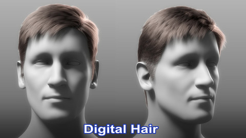 Realistic Male 3D Hair Asset 3D model