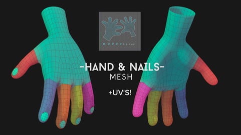 Hand and Nails Mesh Topology with UVs