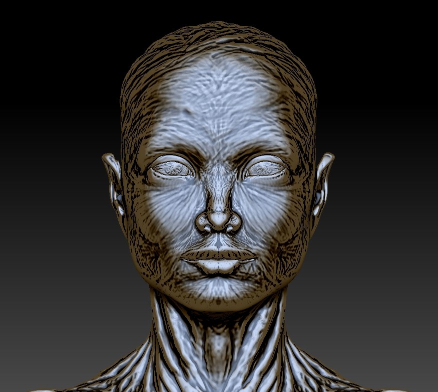 ArtStation - ( 3GB ) = ZBRUSH HD SCULPT = Artistic Muscle Fibers High ...