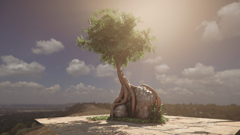 Tree on Rock