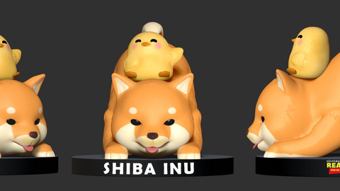 Shiba Inu