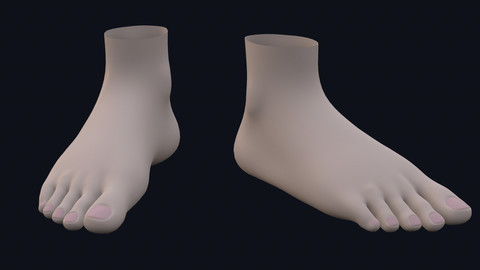 Foot for Character Basemesh Low-poly 3D model