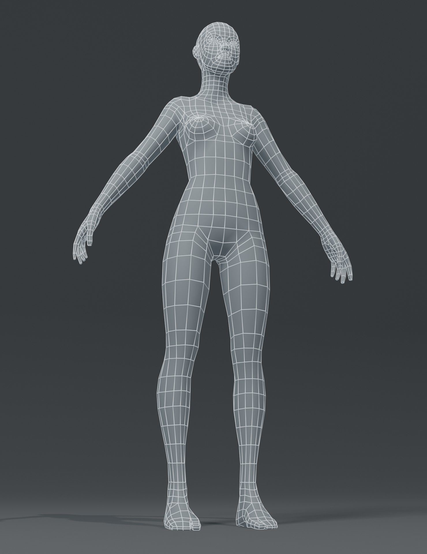 ArtStation Female  Body Base  Mesh 3D  Model Game Assets