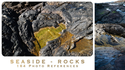 SEASIDE ROCKS - 164 photo references