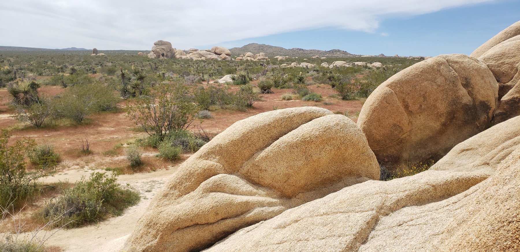 ArtStation Exotic Rock Formation Photo Pack Resources