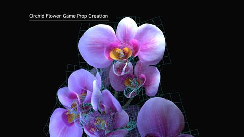 Orchid Flower Game Prop Creation