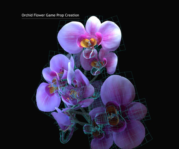 ArtStation - Orchid Flower Game Prop Creation | Resources