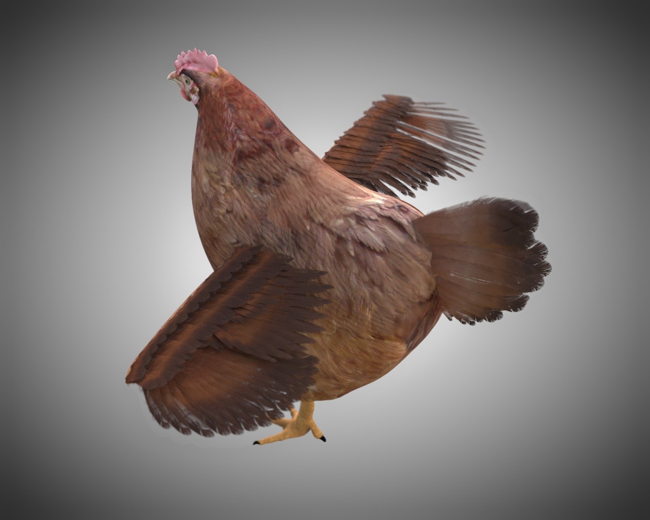 ArtStation Chicken Hen Bird Rigged Low Poly PBR Textures Resources