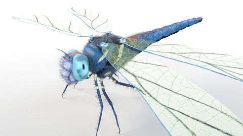 Dragonfly Insect Rigged PBR