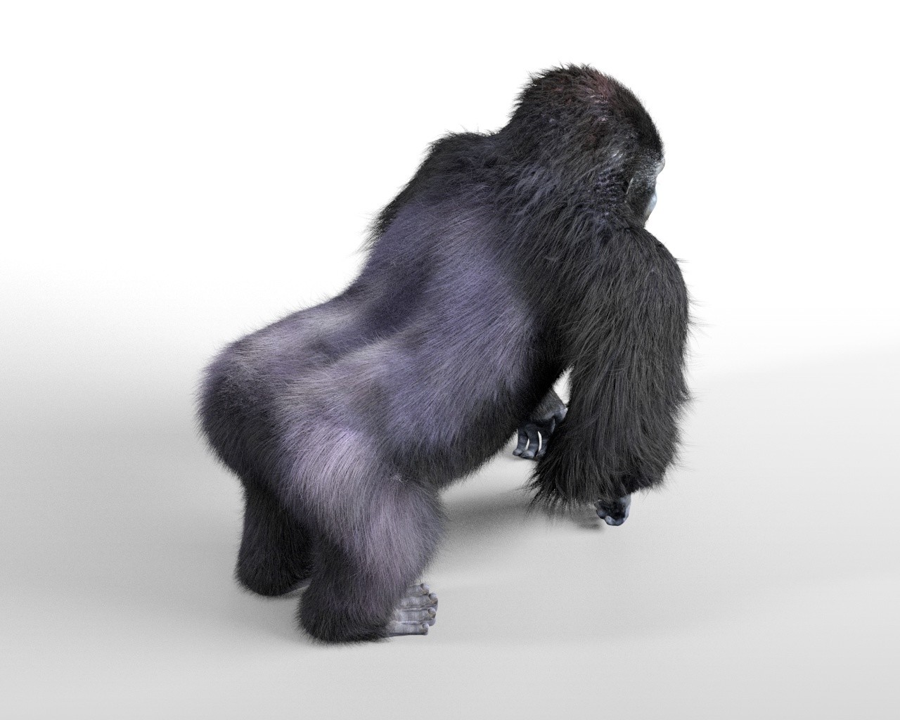 Gorilla hair fur rigged 3d model - FlippedNormals