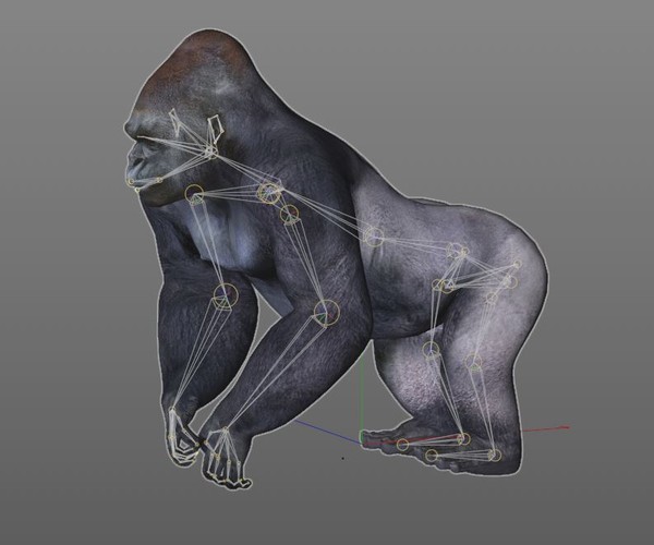 Gorilla hair fur rigged 3d model - FlippedNormals