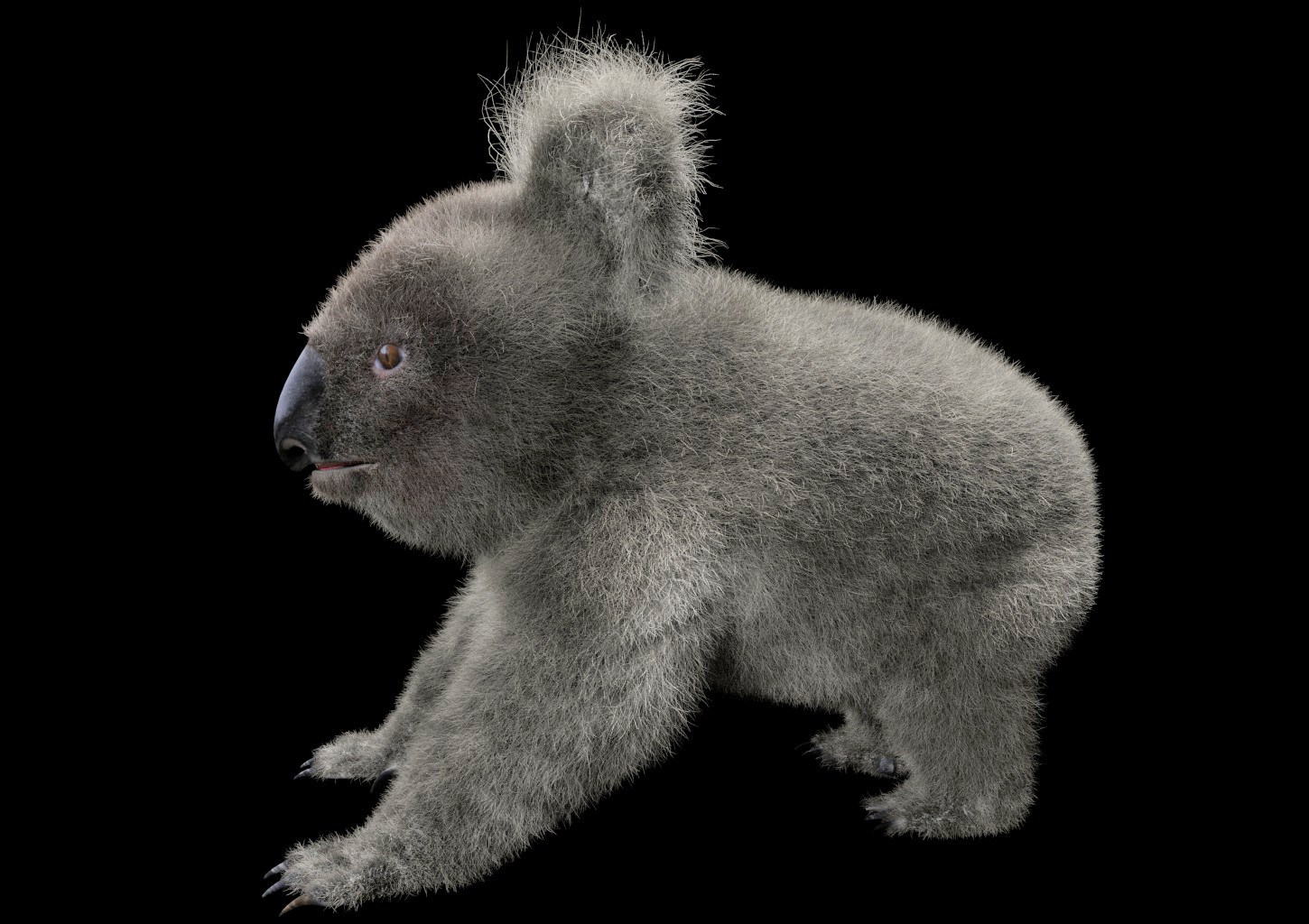 kristie koala fur real