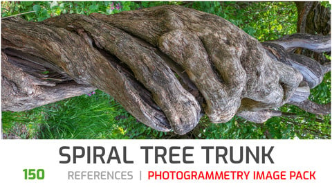 Spiral Tree Trunk  Photogrammetry image pack