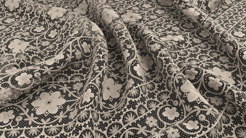 Embroidered Lace Material