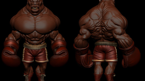 Base Boxer ... cartoon