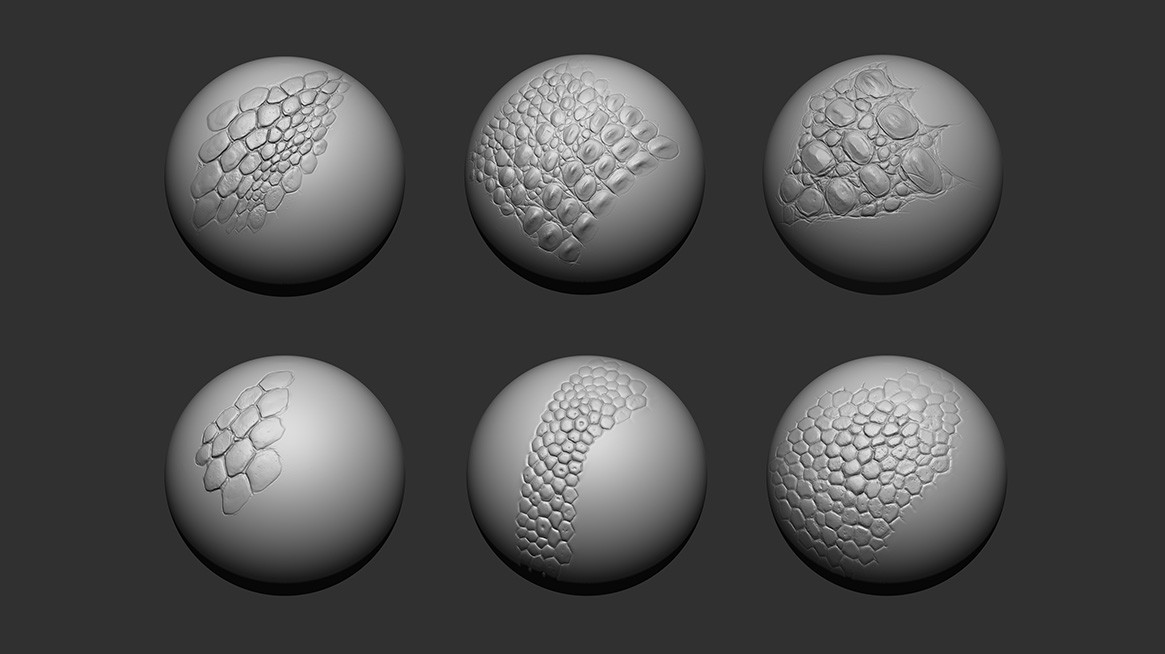 ArtStation - 25 PACK - Dragon and Reptile Brushes | Brushes