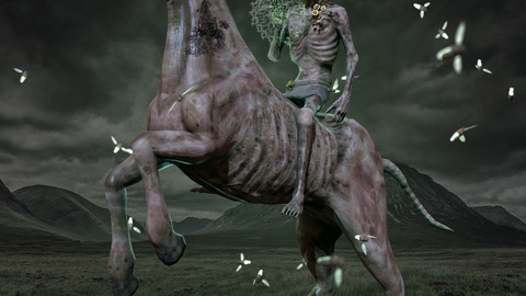 Undead Horse and Rider