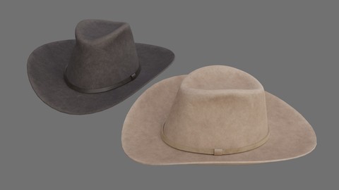 Cowboy Hat 1B