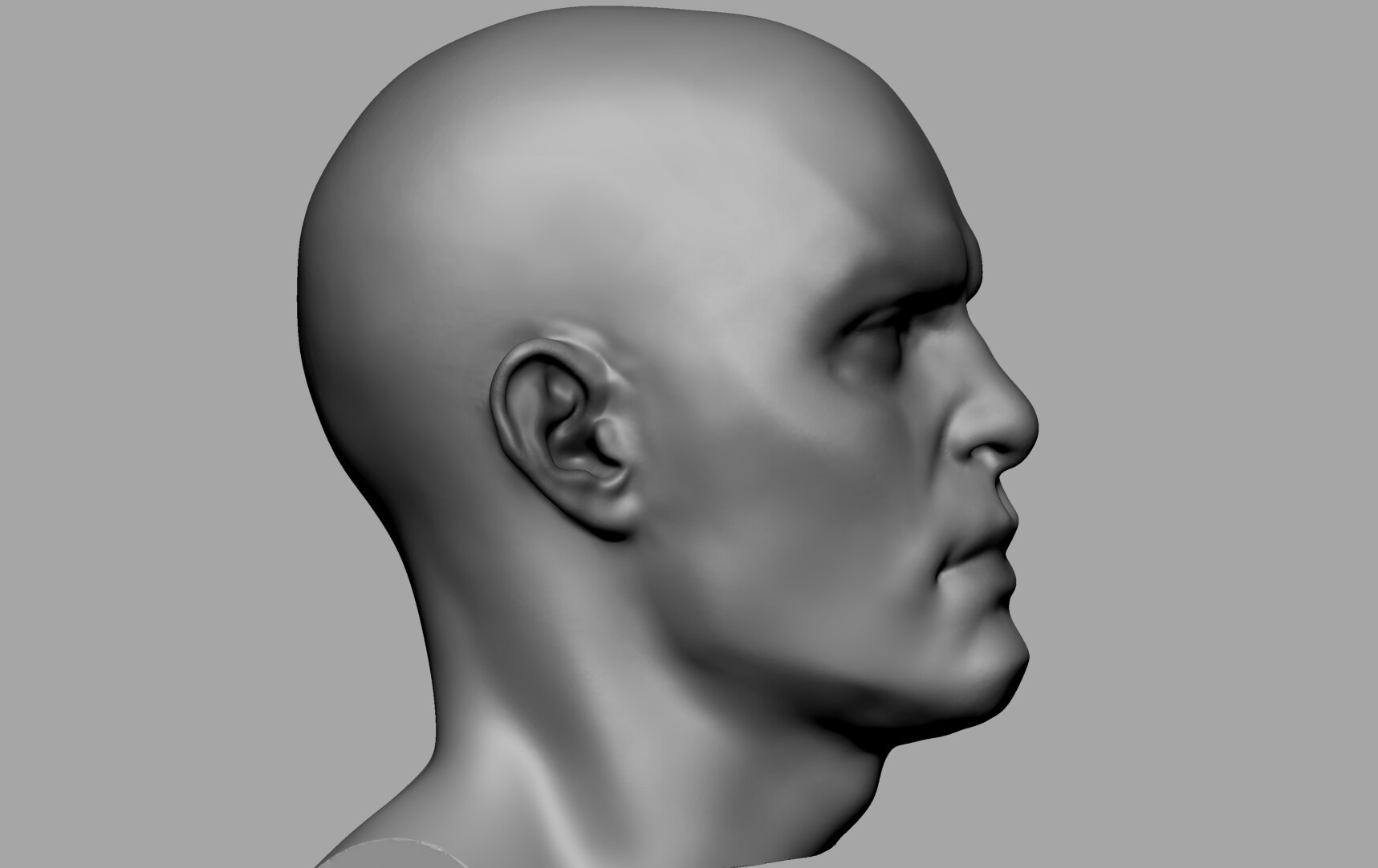 ArtStation - Anatomy Sculpting Parts | Resources