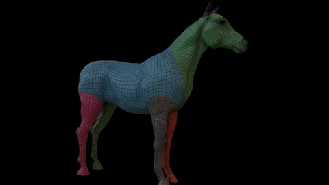 Horse BaseMesh