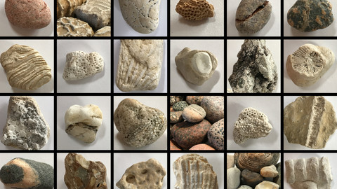 Rocks: Great Lakes- Lake Michigan Pack 1
