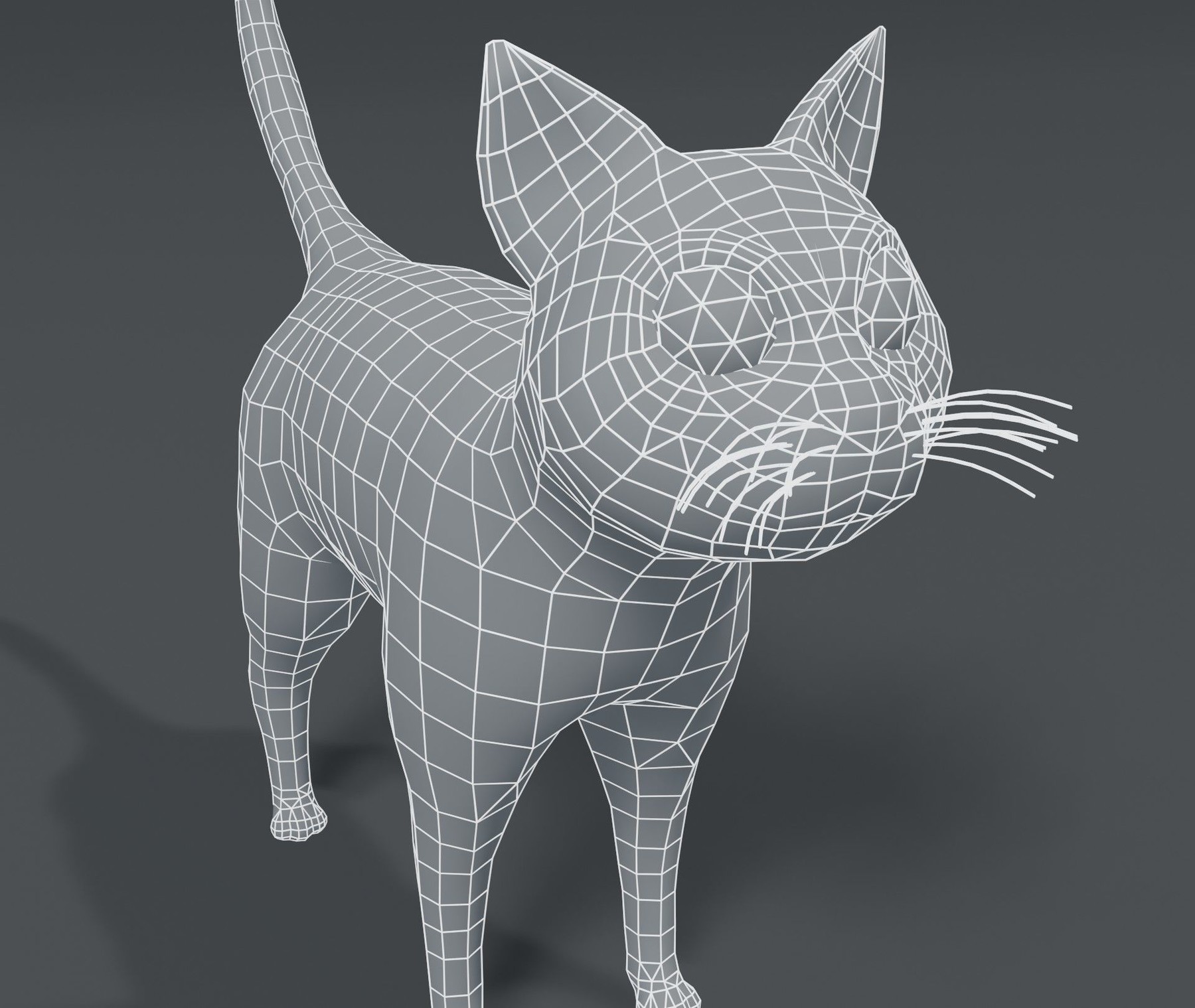 mesh cat toy