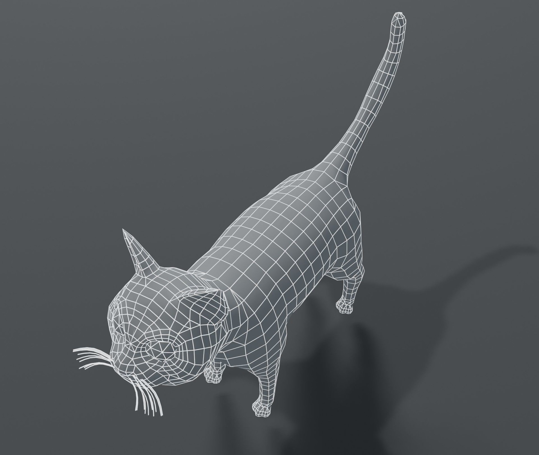 Artstation Cartoon Cat Base Mesh 3d Model Game Assets 8034