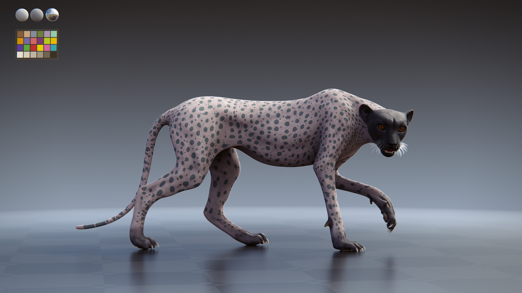cheetah 3d simulator