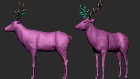 Deer Base Mesh