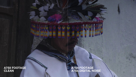 A7SII Digital Noise Pack - by Blauw Films